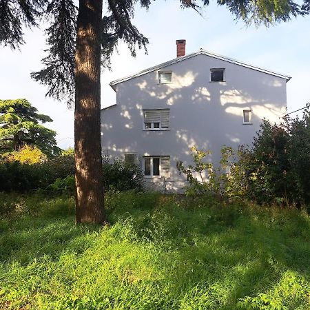 Apartment Luana Πούλα Εξωτερικό φωτογραφία