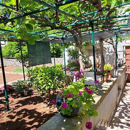 Apartment Luana Πούλα Εξωτερικό φωτογραφία